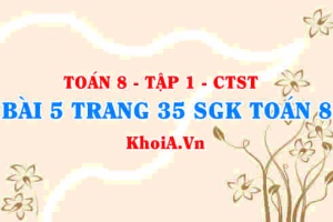 Bài 5 trang 35 SGK Toán 8 Tập 1 Chân trời sáng tạo